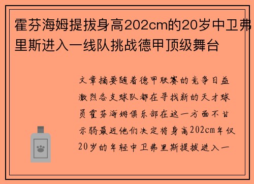 霍芬海姆提拔身高202cm的20岁中卫弗里斯进入一线队挑战德甲顶级舞台